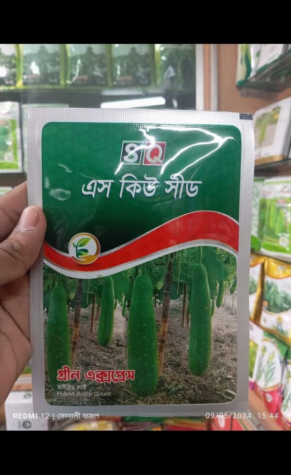 এস কিউ সীডের লাউ
