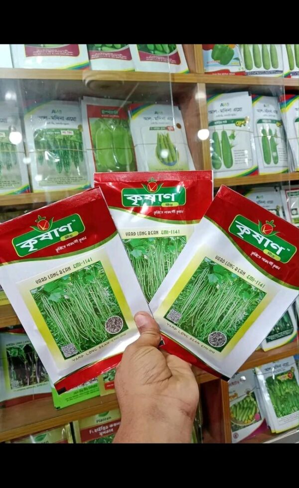 হাইব্রিড ছোট করলা নোরা